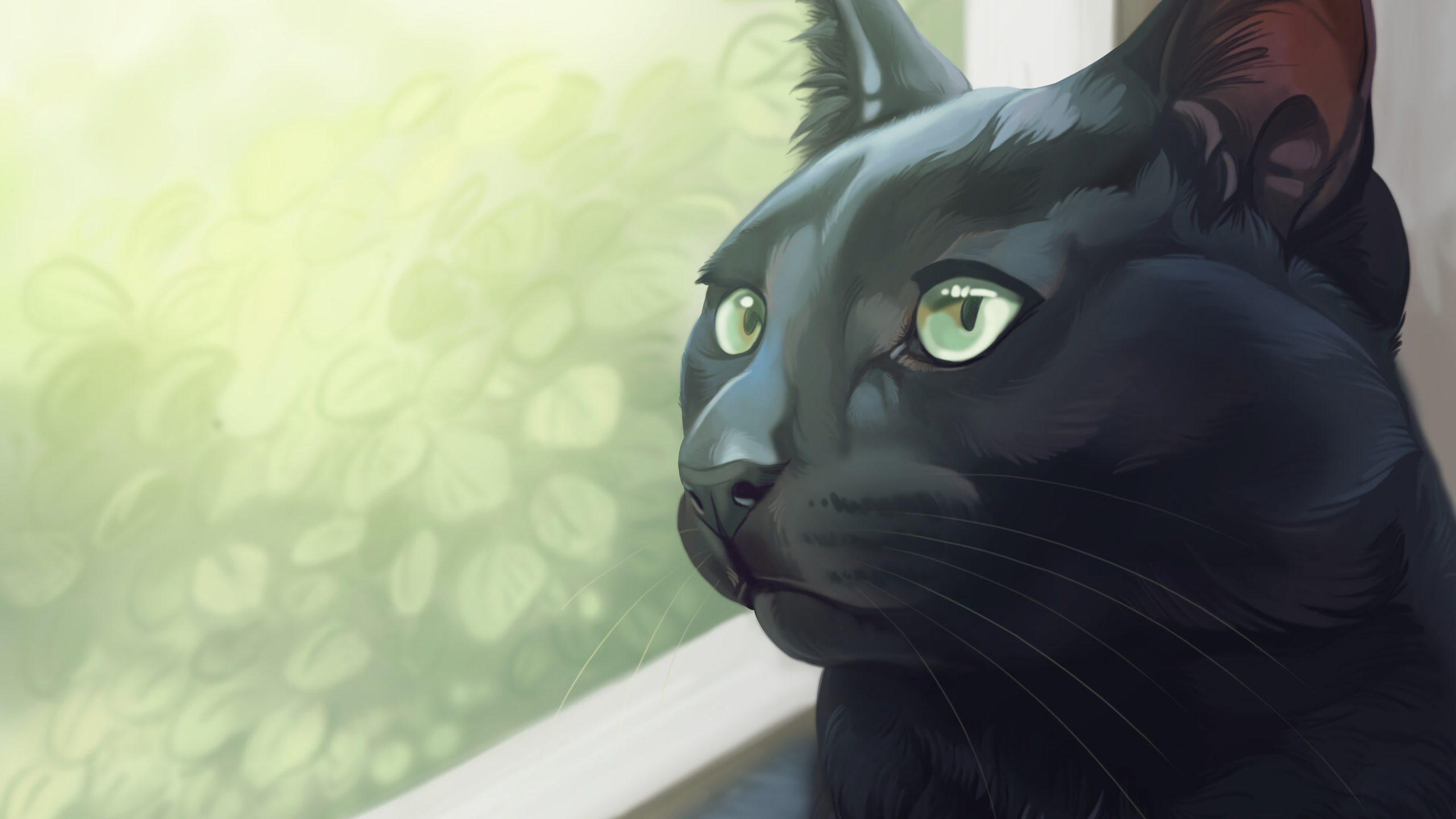 Schwarze Katze Auf Weißem Textil. Wallpaper in 2560x1440 Resolution