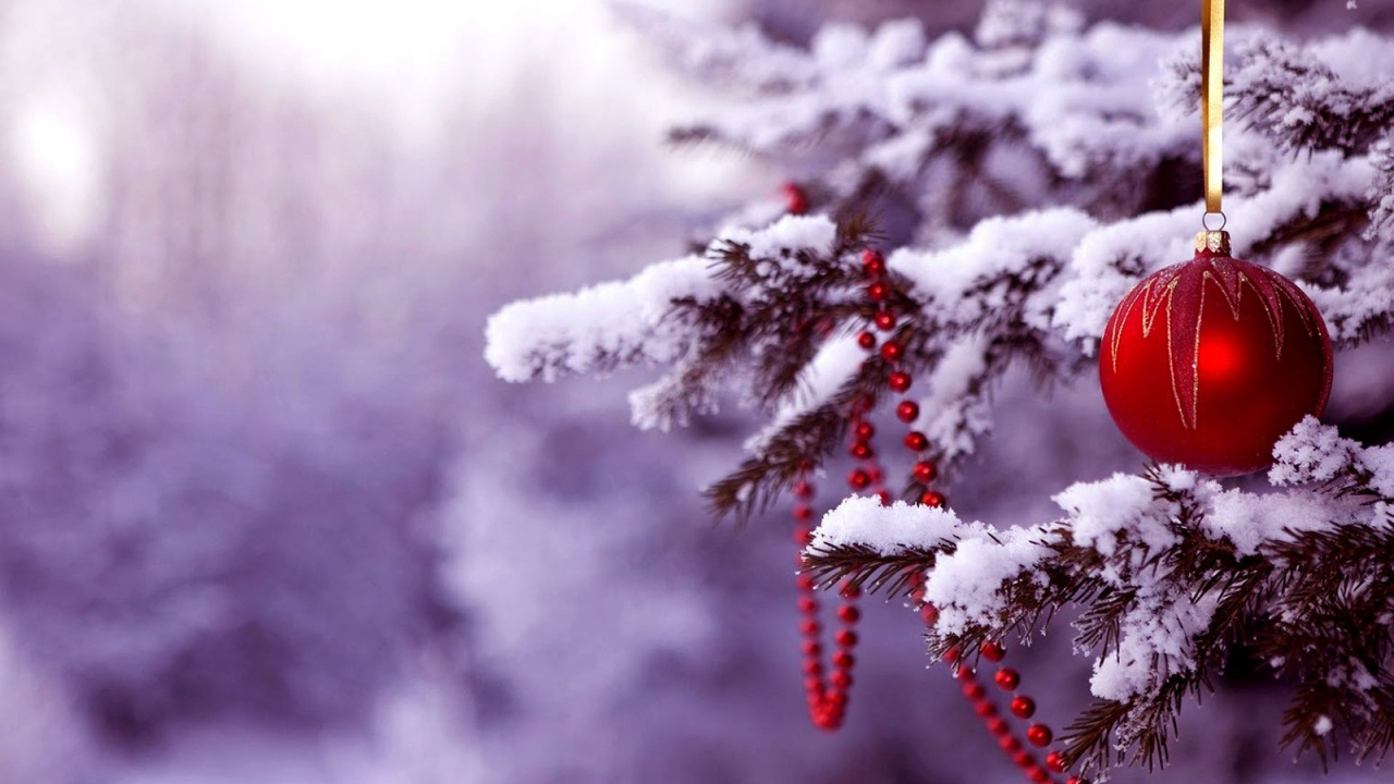 Christmas Day, Christmas Ornament, Christmas Tree, Christmas Decoration, Snow. Wallpaper in 1280x720 Resolution