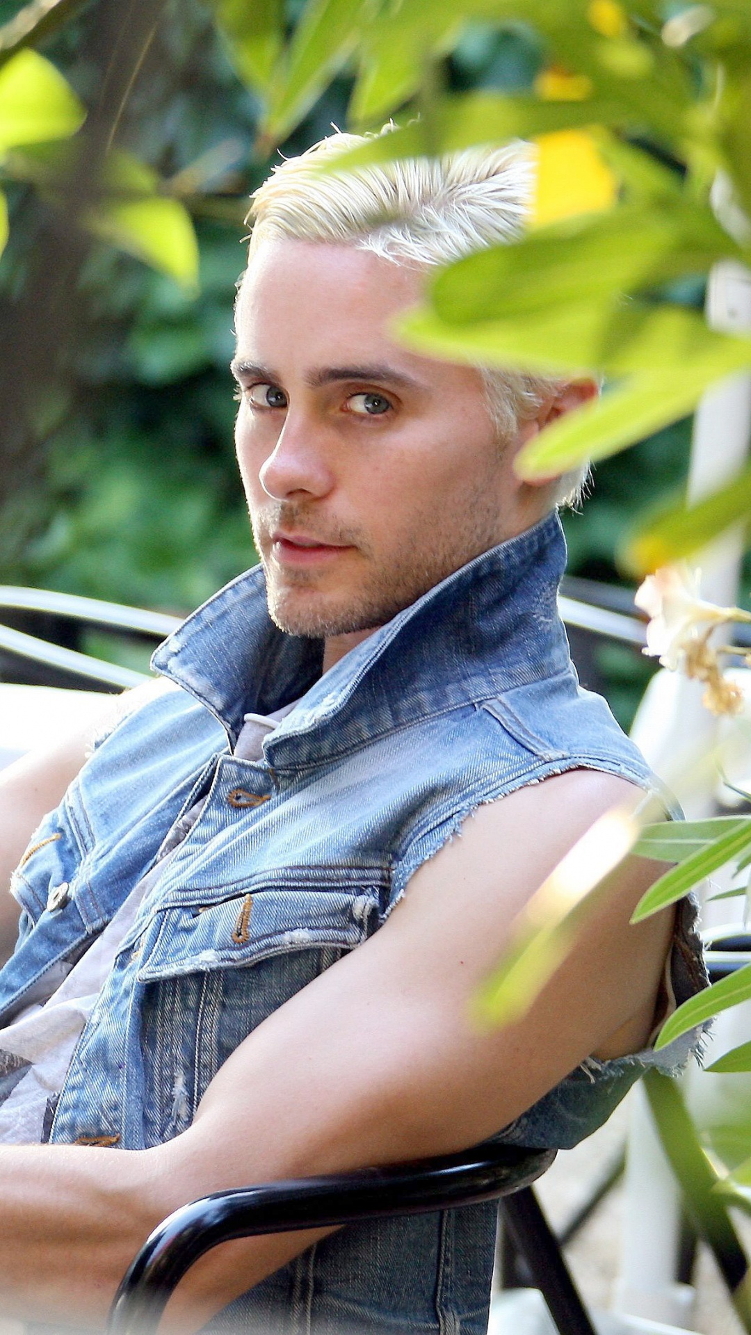 Plant, Tree, Leisure, Vacation, Actor. Wallpaper in 1080x1920 Resolution