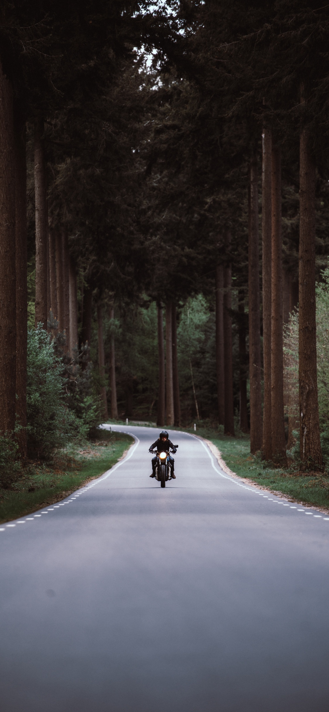 Persona en Motocicleta en la Carretera Entre Árboles Durante el Día. Wallpaper in 1125x2436 Resolution