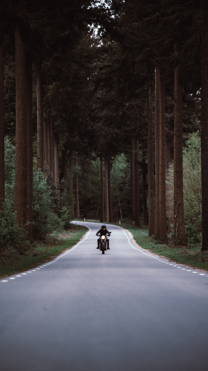 Person, Die Tagsüber Motorrad Auf Der Straße Zwischen Bäumen Fährt. Wallpaper in 720x1280 Resolution