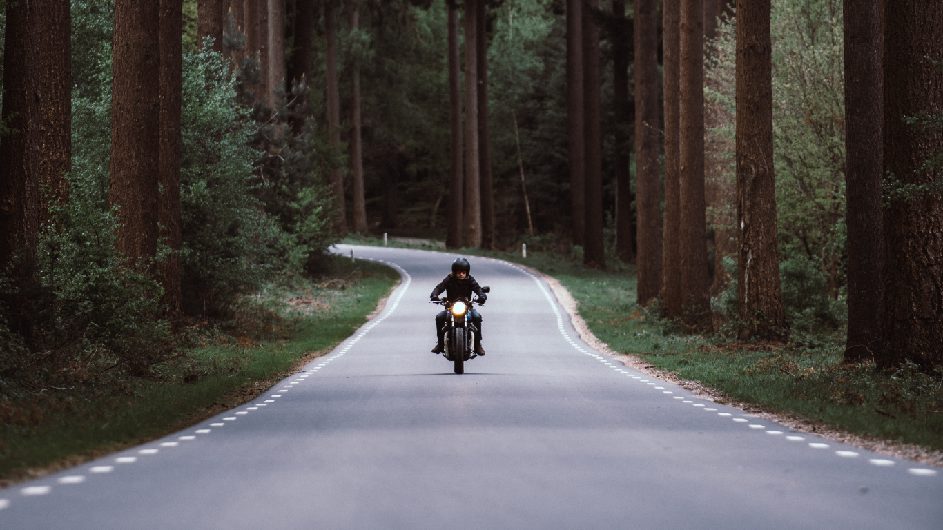 Person Riding Motorcycle on Road Between Trees During Daytime. Wallpaper in 1366x768 Resolution