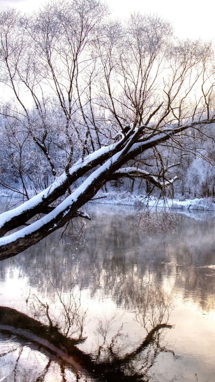 Body of Water Near Trees During Daytime. Wallpaper in 720x1280 Resolution