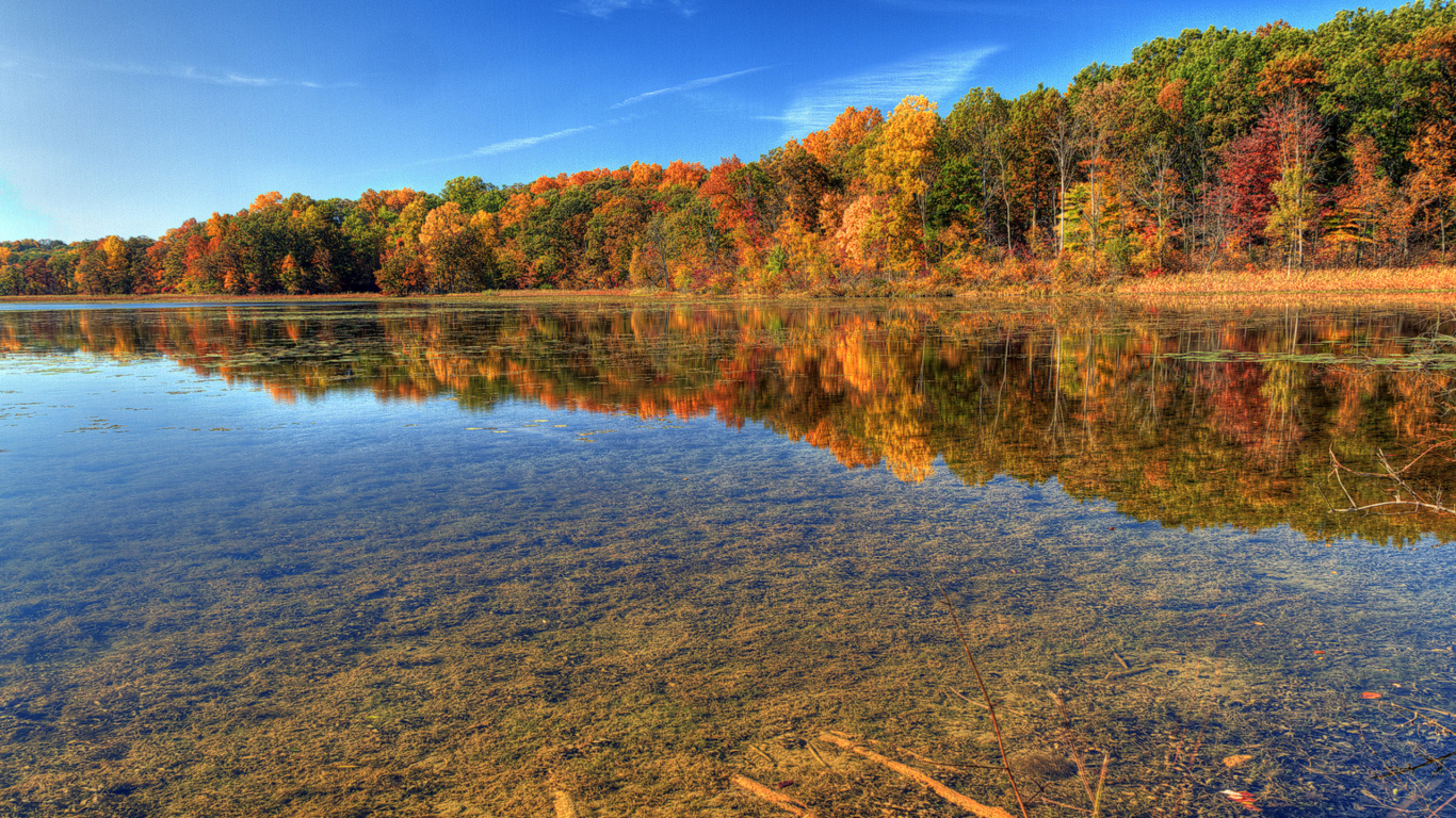 Brown Trees Beside River Under Blue Sky During Daytime. Wallpaper in 1366x768 Resolution