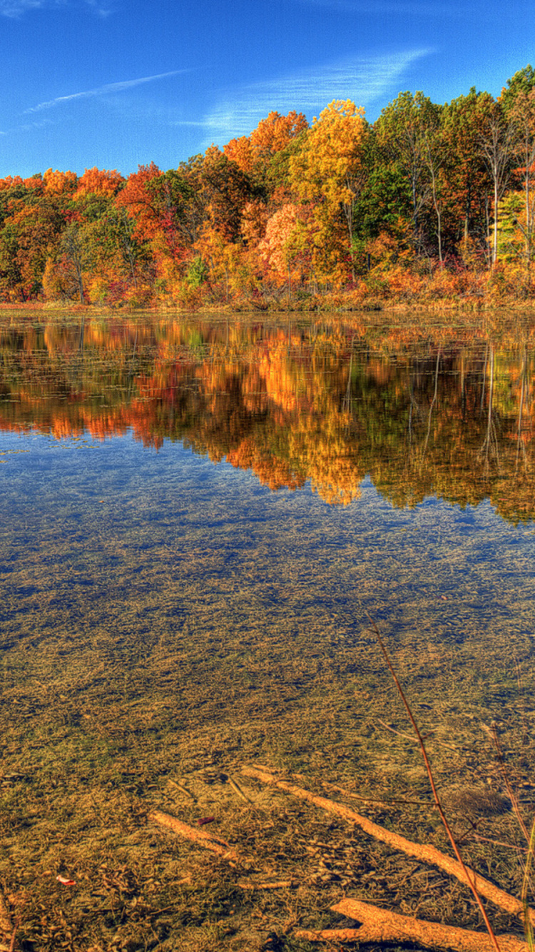 Braune Bäume Neben Dem Fluss Unter Blauem Himmel Tagsüber. Wallpaper in 750x1334 Resolution