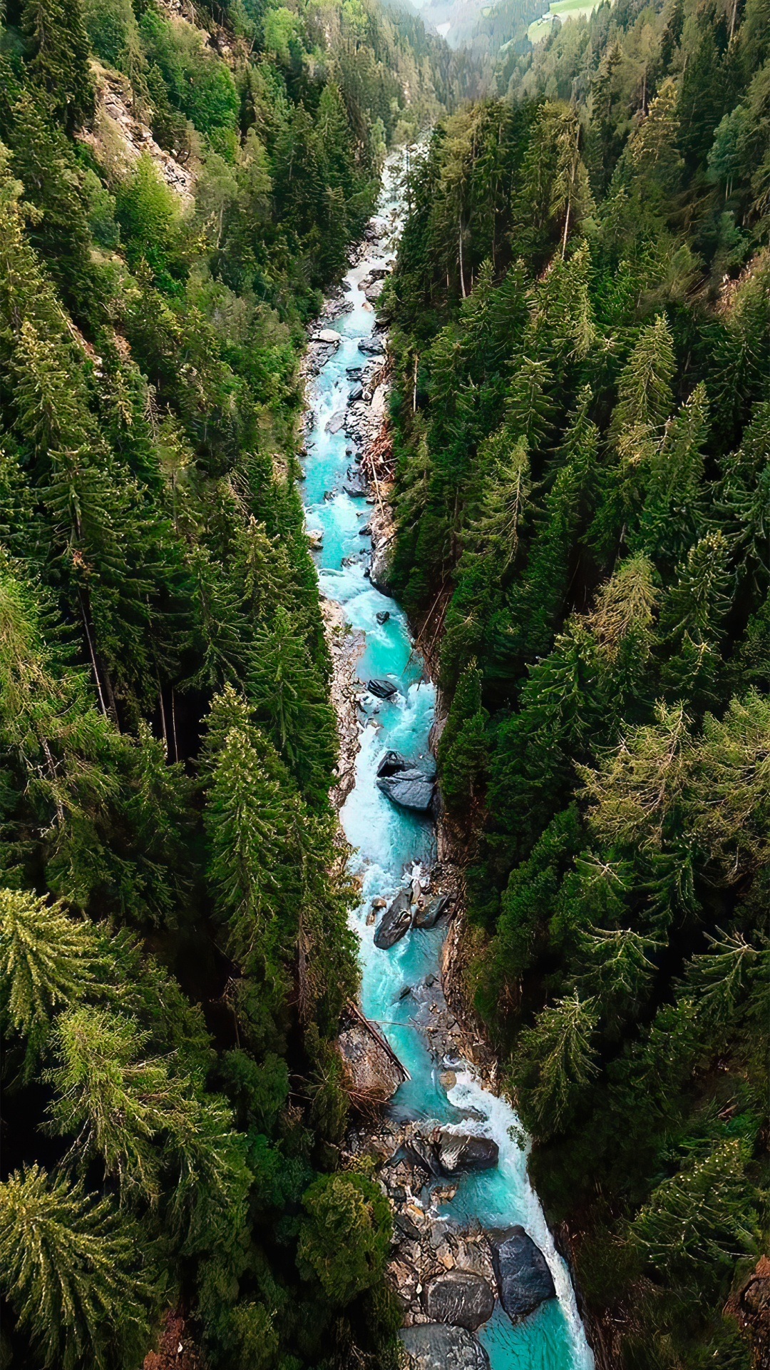 Baum, Wasser, Naturlandschaft, Wasserlauf, Terrestrische Pflanzen. Wallpaper in 1080x1920 Resolution