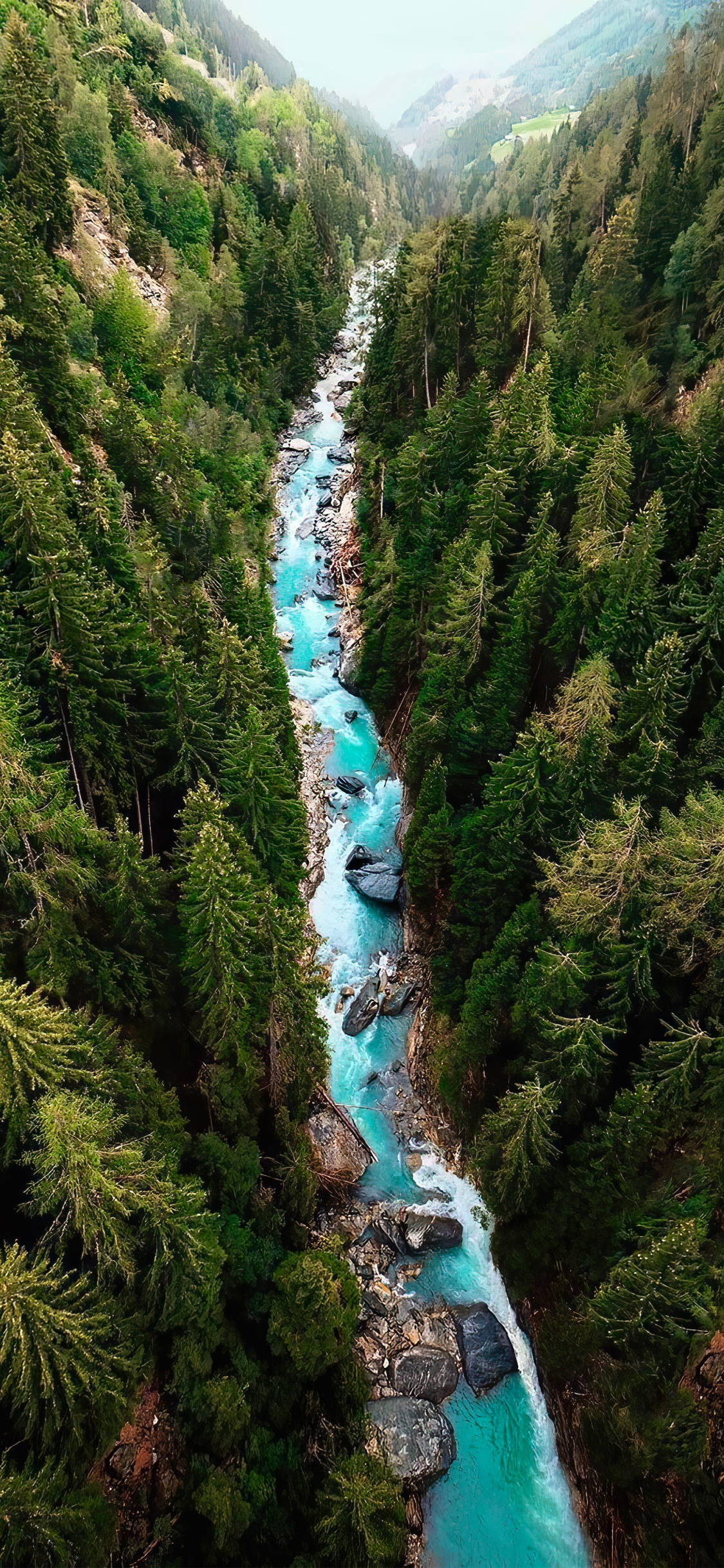 Eau, Paysage Naturel, Cours D'eau, Plante Terrestre, Zone Riveraine. Wallpaper in 1125x2436 Resolution