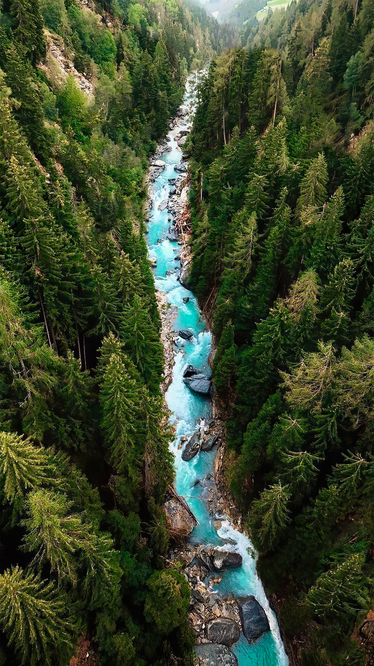 Tree, Water, Plant, Natural Landscape, Watercourse. Wallpaper in 750x1334 Resolution