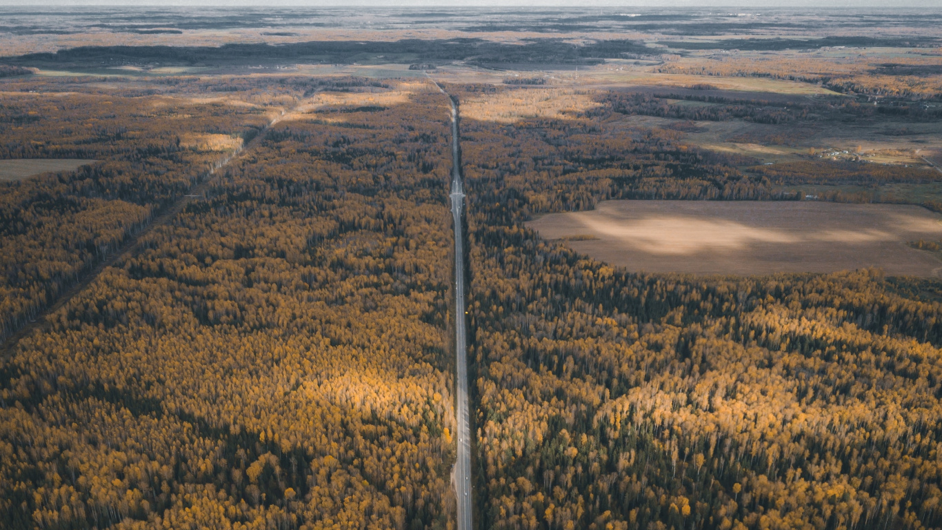 苔原, 阴凉处, 天空, 生态区 壁纸 1366x768 允许