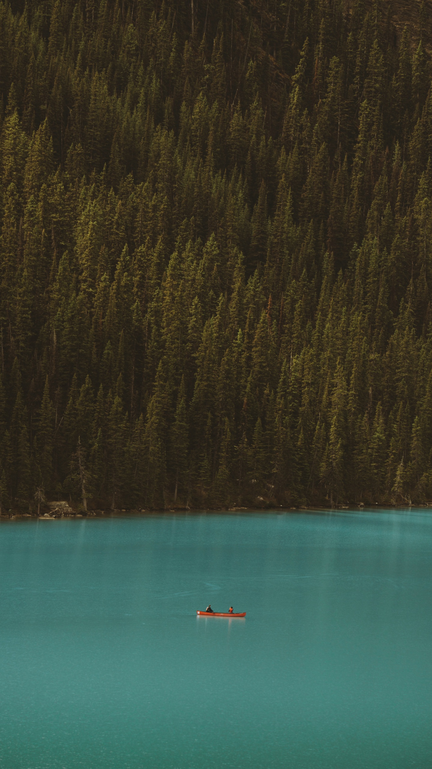 Agua, Sonido, Azul, Teal, Turquesa. Wallpaper in 1440x2560 Resolution