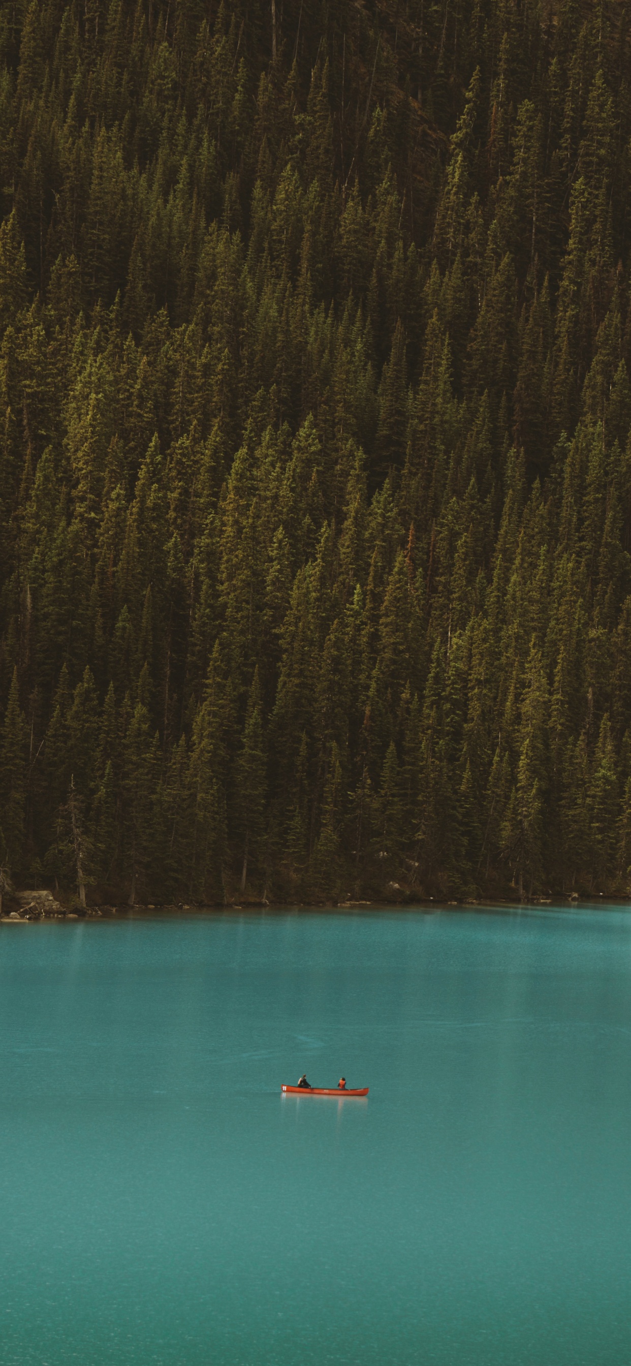 Eau, Forêt, Son, Blue, Sarcelle. Wallpaper in 1242x2688 Resolution