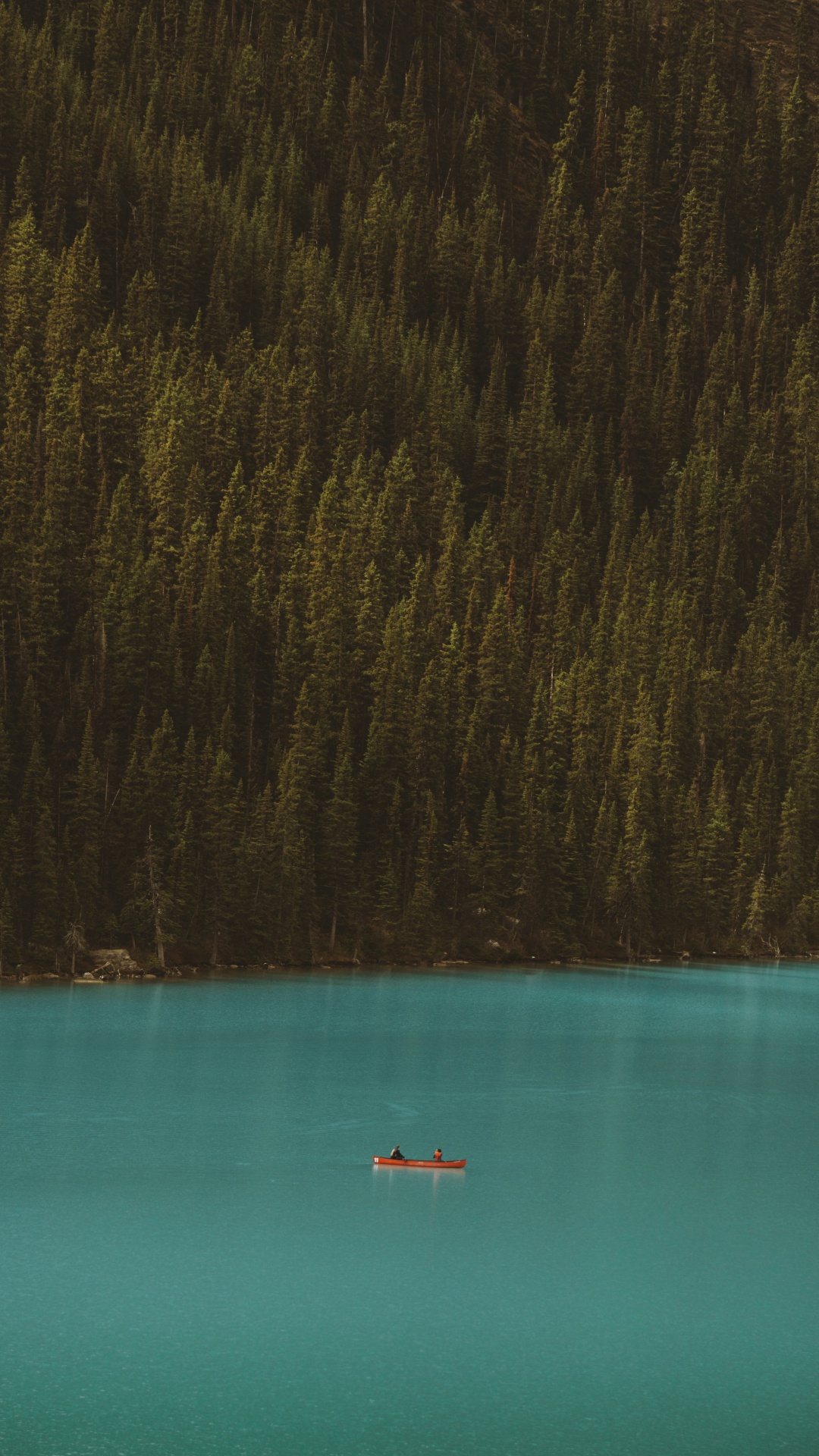 Water, Forest, Sound, Blue, Teal. Wallpaper in 1080x1920 Resolution