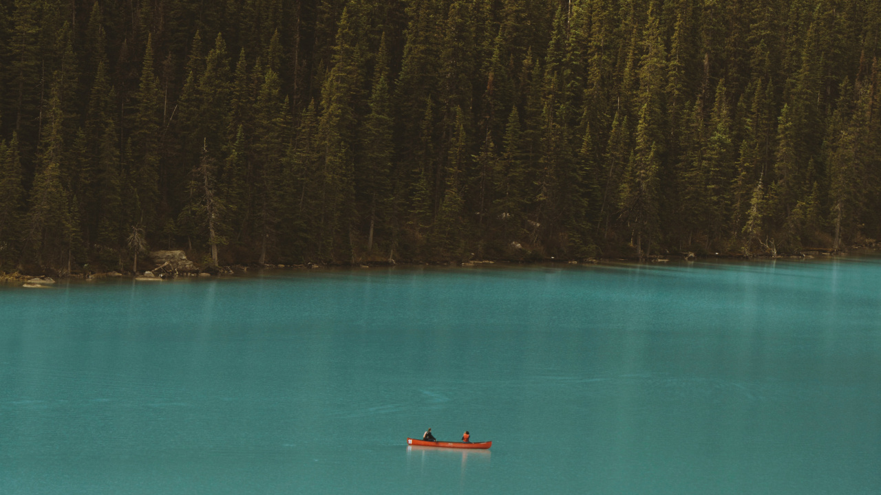 Water, Forest, Sound, Blue, Teal. Wallpaper in 1280x720 Resolution