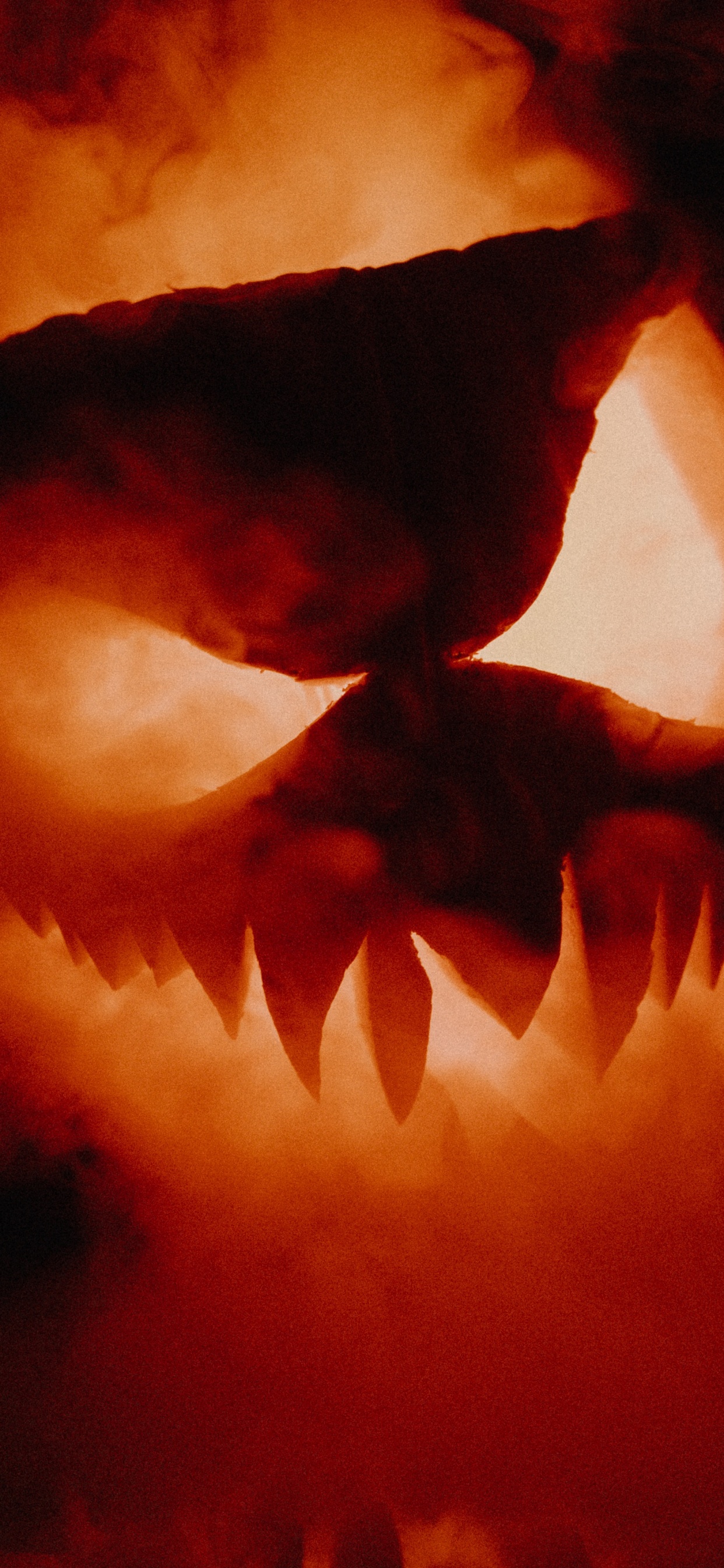 热, 嘴, 火焰, 夹钳, 艺术 壁纸 1242x2688 允许