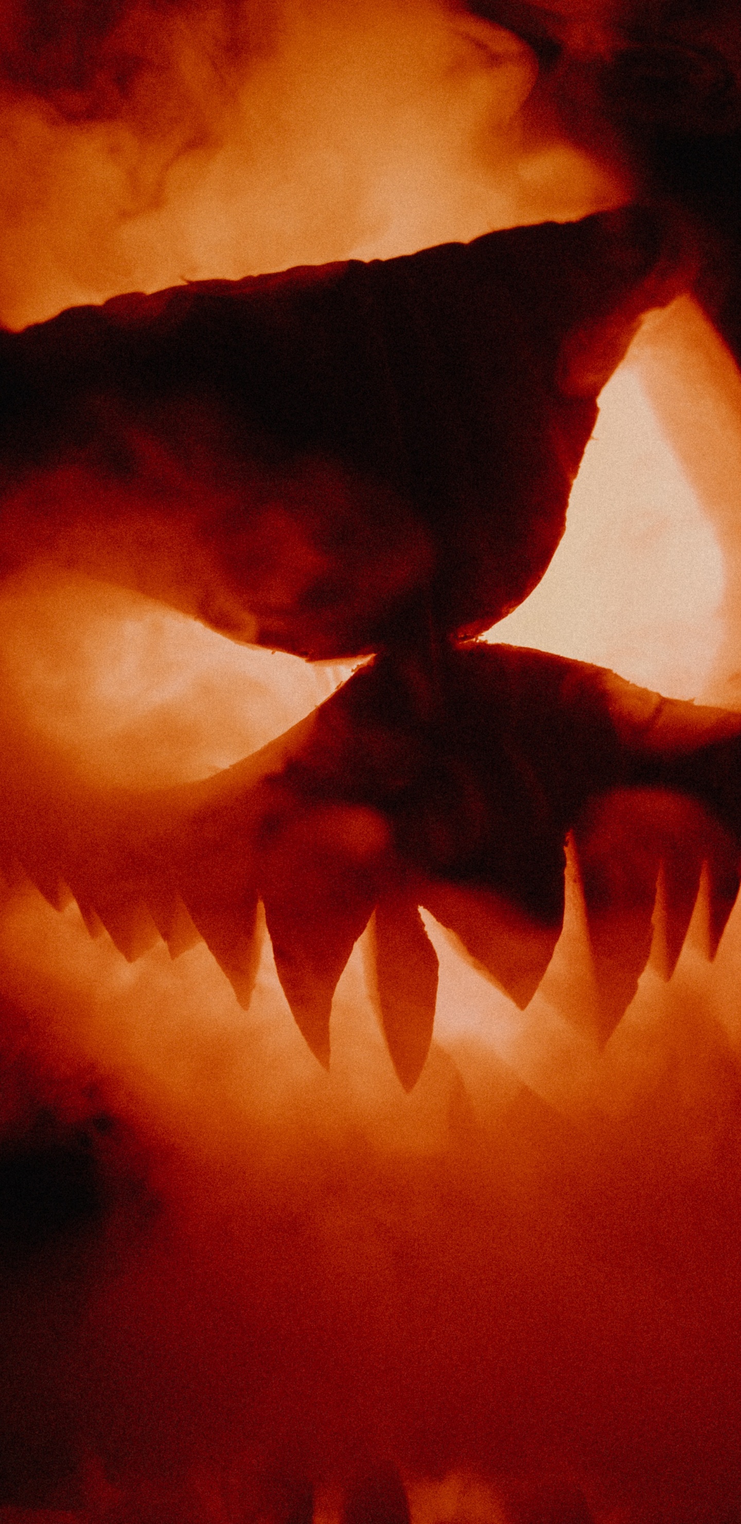 热, 嘴, 火焰, 夹钳, 艺术 壁纸 1440x2960 允许