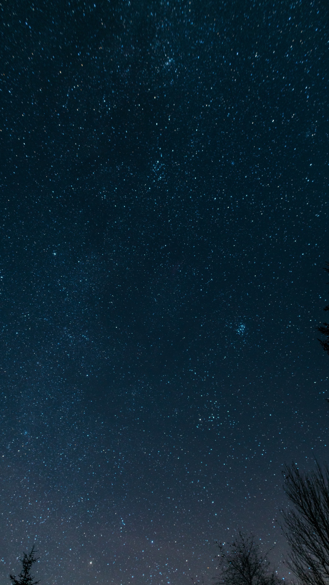 Silhouette of Trees Under Starry Night. Wallpaper in 1080x1920 Resolution