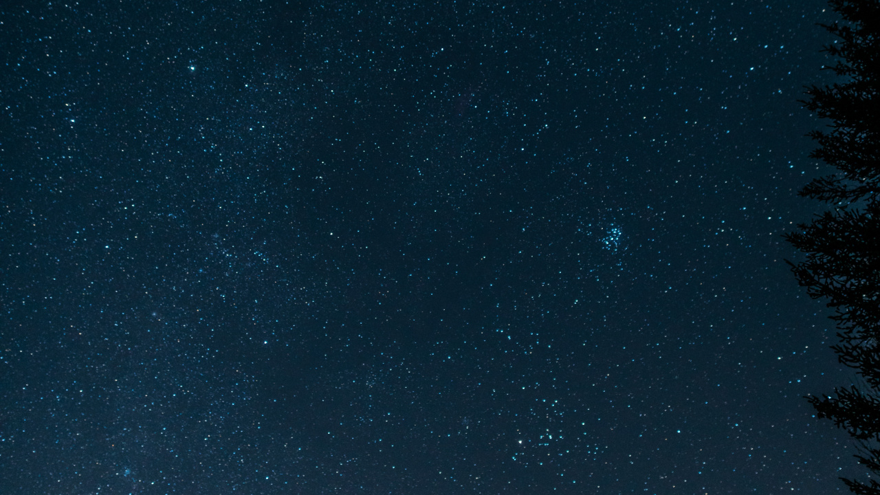 Silhouette of Trees Under Starry Night. Wallpaper in 1280x720 Resolution