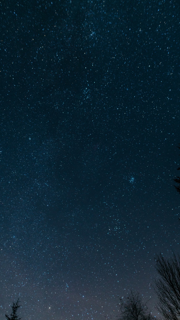 Silhouette of Trees Under Starry Night. Wallpaper in 720x1280 Resolution