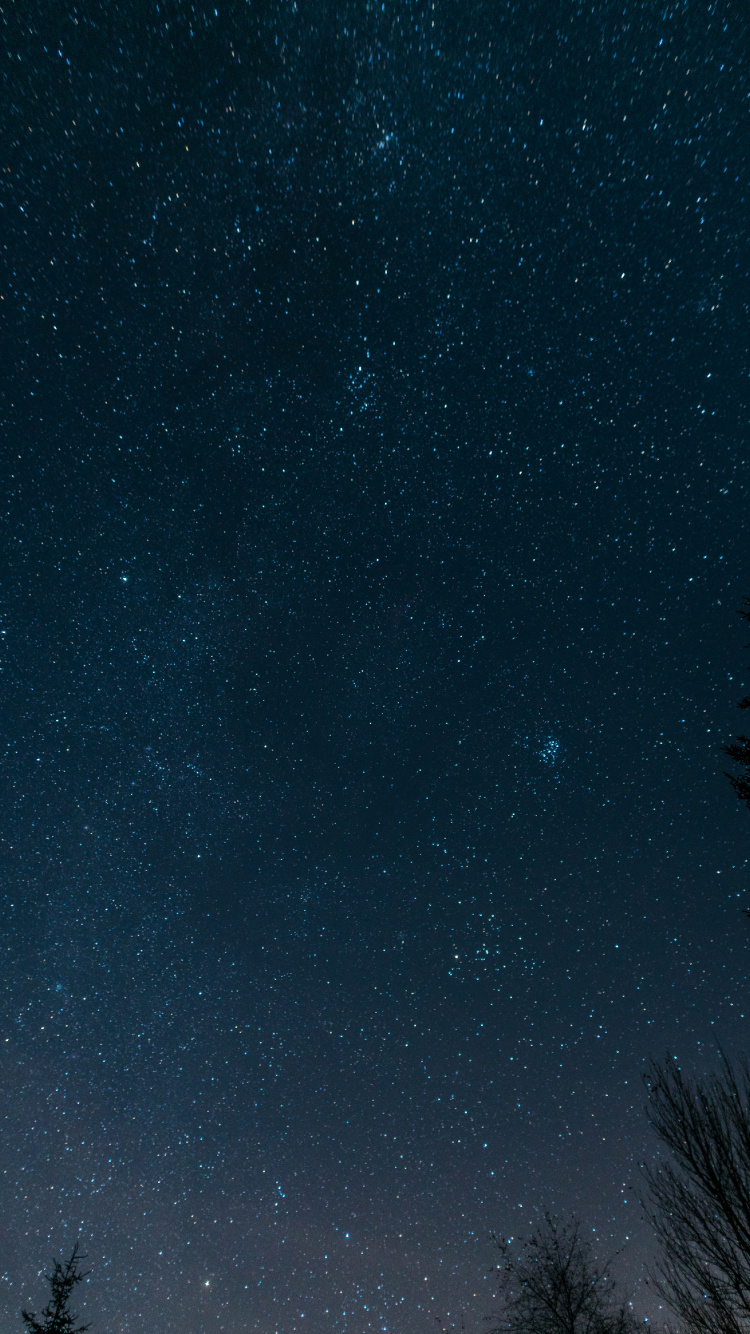 Silhouette of Trees Under Starry Night. Wallpaper in 750x1334 Resolution