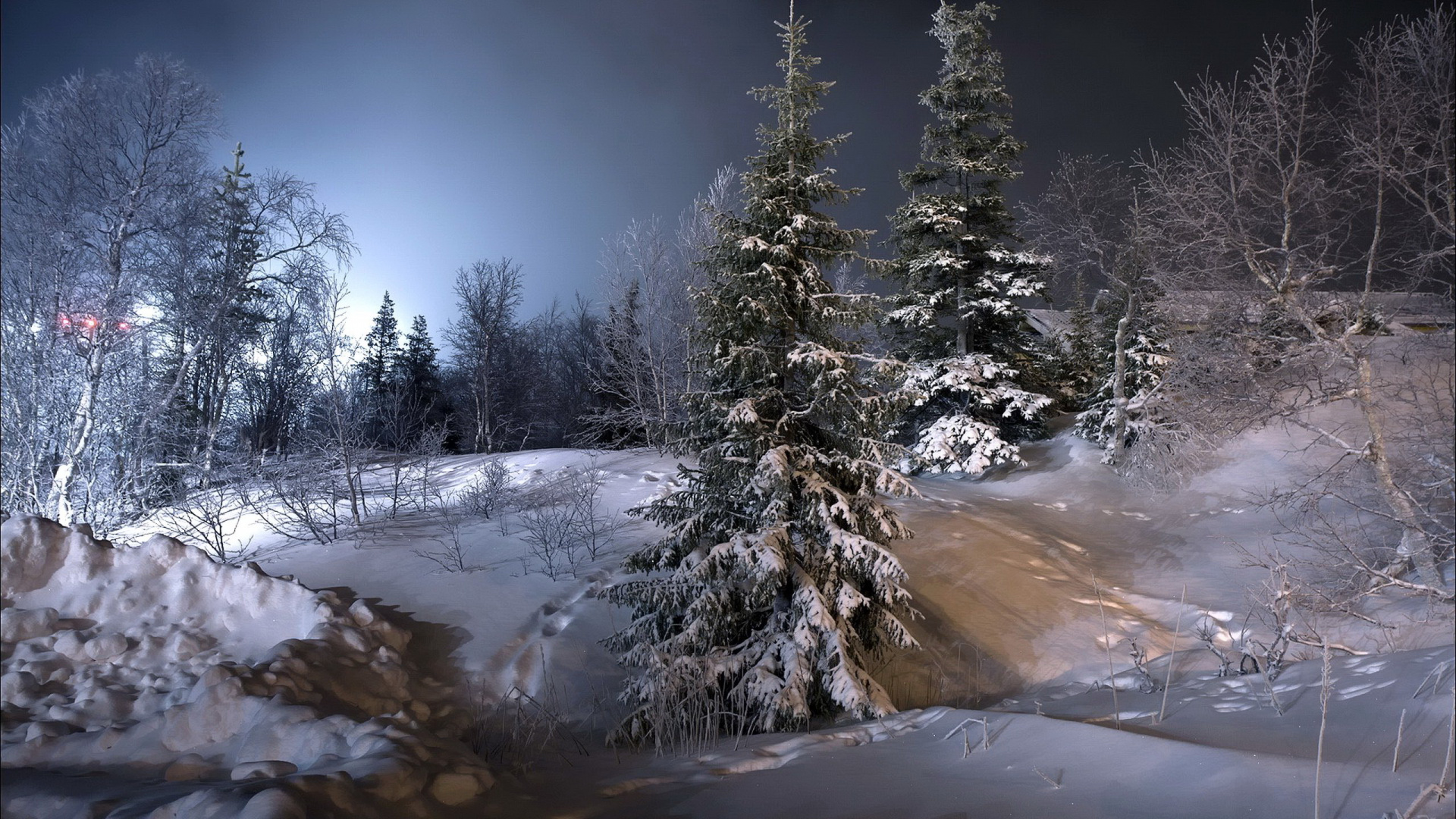 Snow Covered Pine Trees During Daytime. Wallpaper in 1920x1080 Resolution