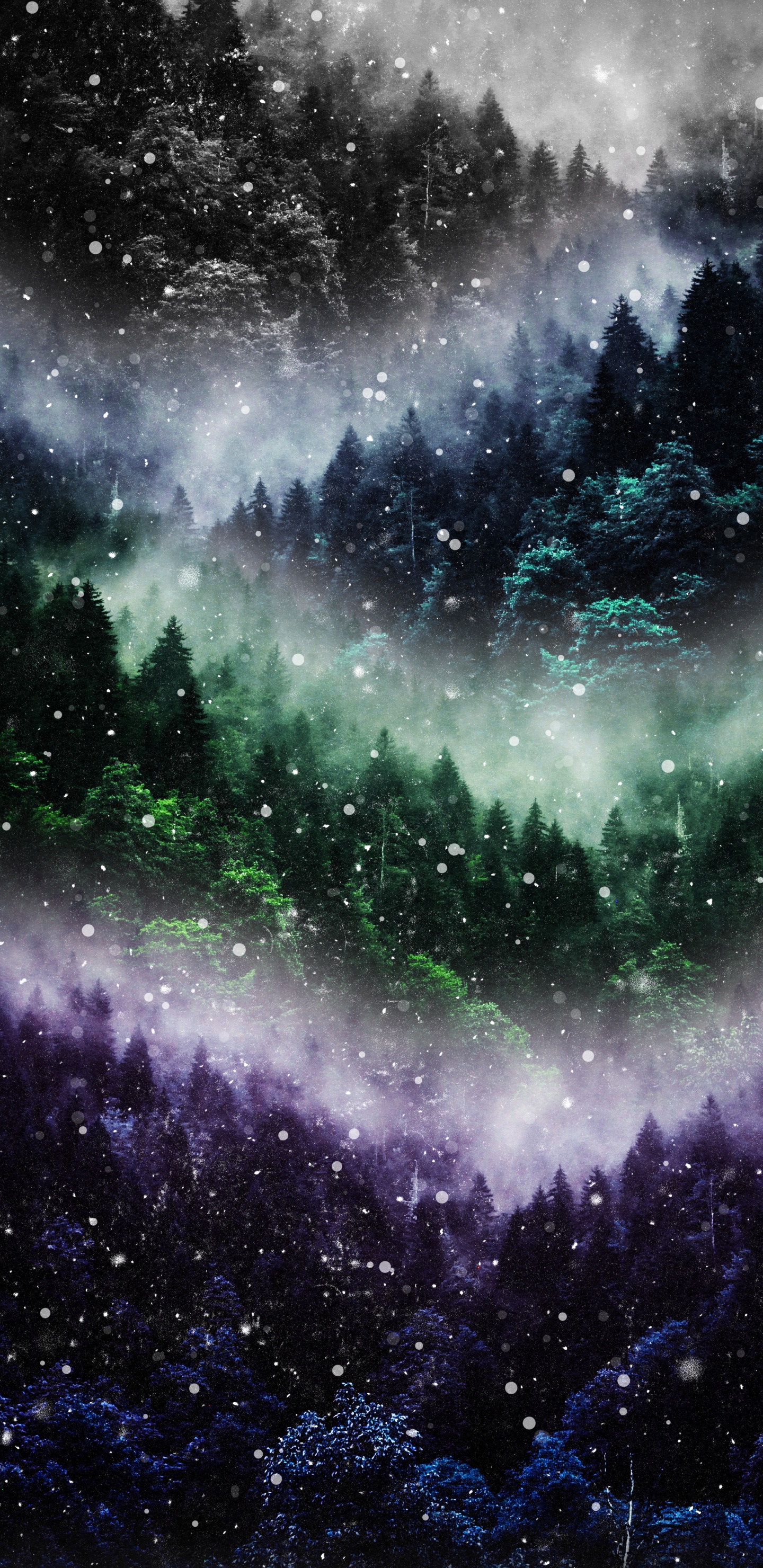 Nature, Atmosphère, Nébuleuse, Paysage Naturel, Galaxie. Wallpaper in 1440x2960 Resolution