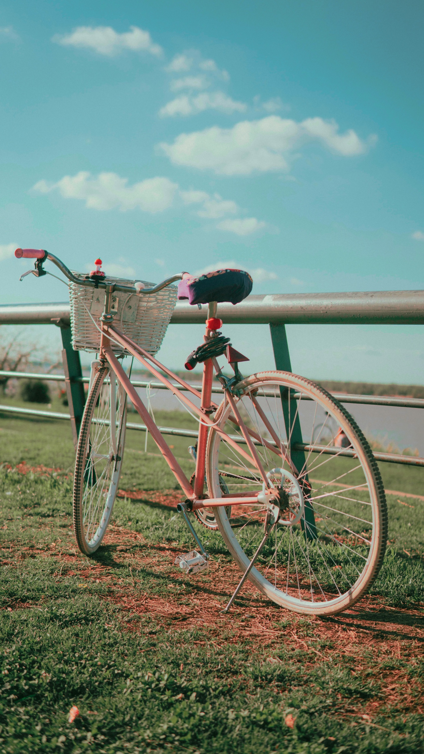 Rotes Citybike in Der Nähe Eines Gewässers Tagsüber During. Wallpaper in 1440x2560 Resolution