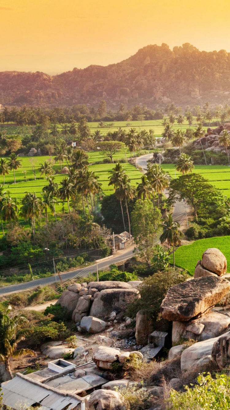 Tagsüber Grüne Wiese. Wallpaper in 750x1334 Resolution