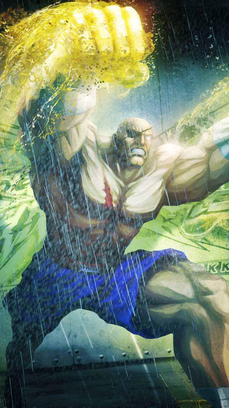 Street Fighter v, Super Street Fighter Iv, Illustration, Magic, Spaß. Wallpaper in 750x1334 Resolution