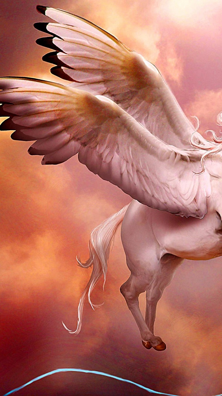 White Horse With Wings Illustration. Wallpaper in 720x1280 Resolution