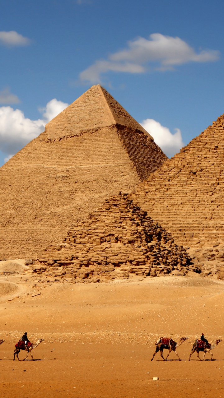 Camellos en el Desierto Durante el Día.. Wallpaper in 720x1280 Resolution