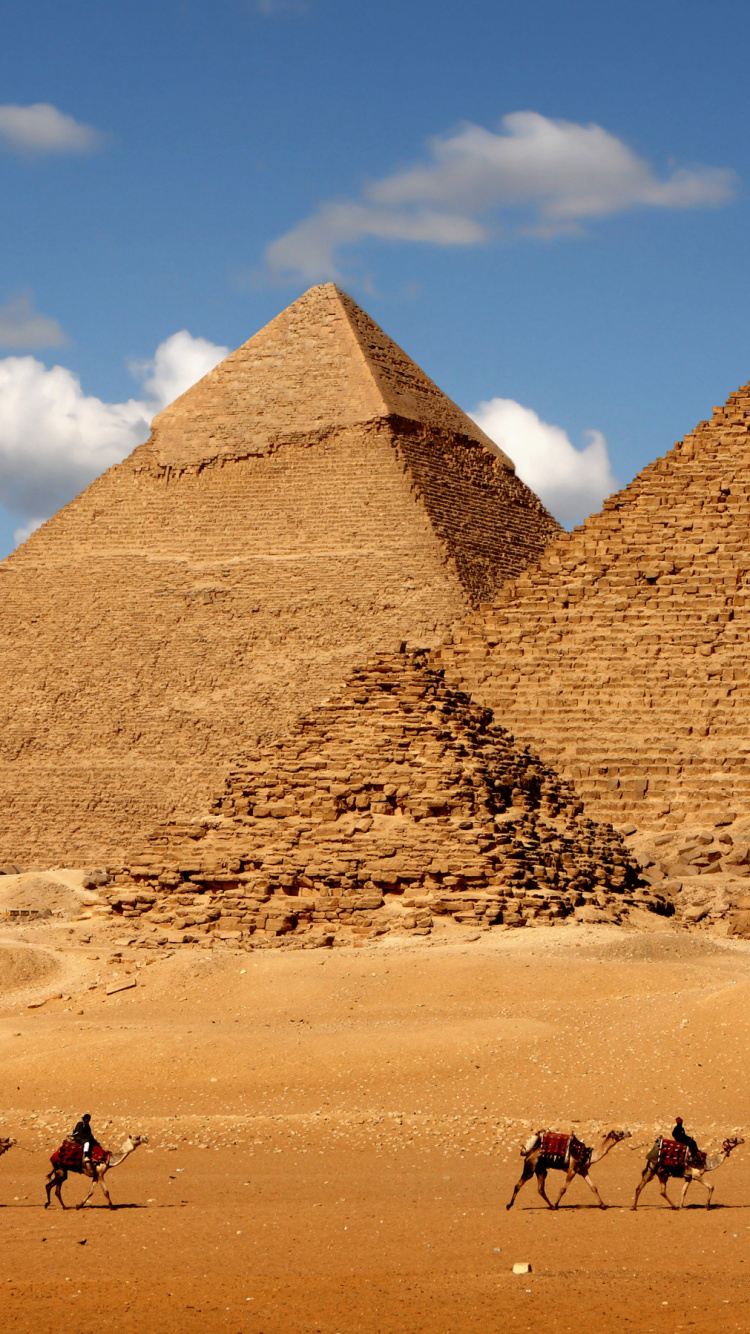 Camellos en el Desierto Durante el Día.. Wallpaper in 750x1334 Resolution