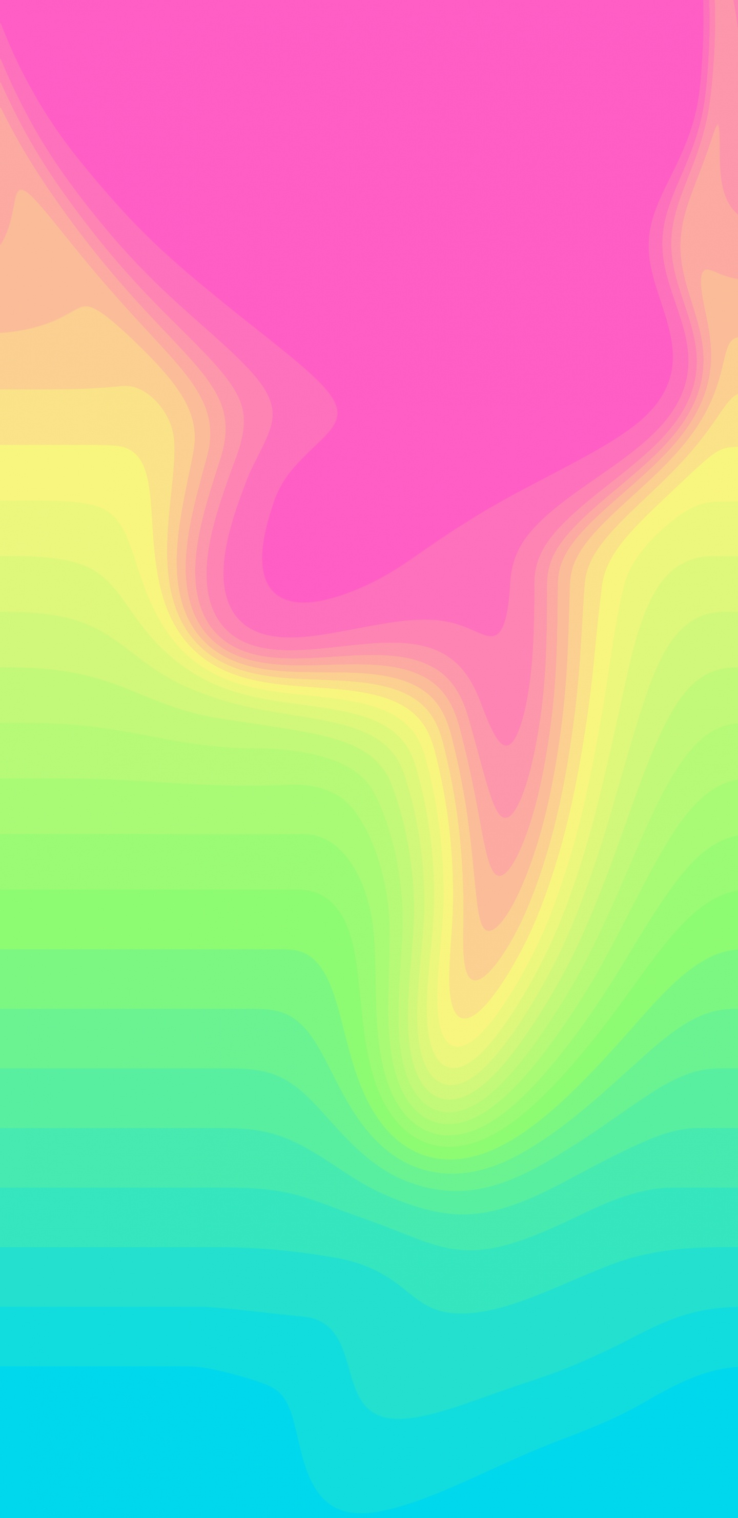 Orange, Farbigkeit, Purpur, Pink, Veilchen. Wallpaper in 1440x2960 Resolution