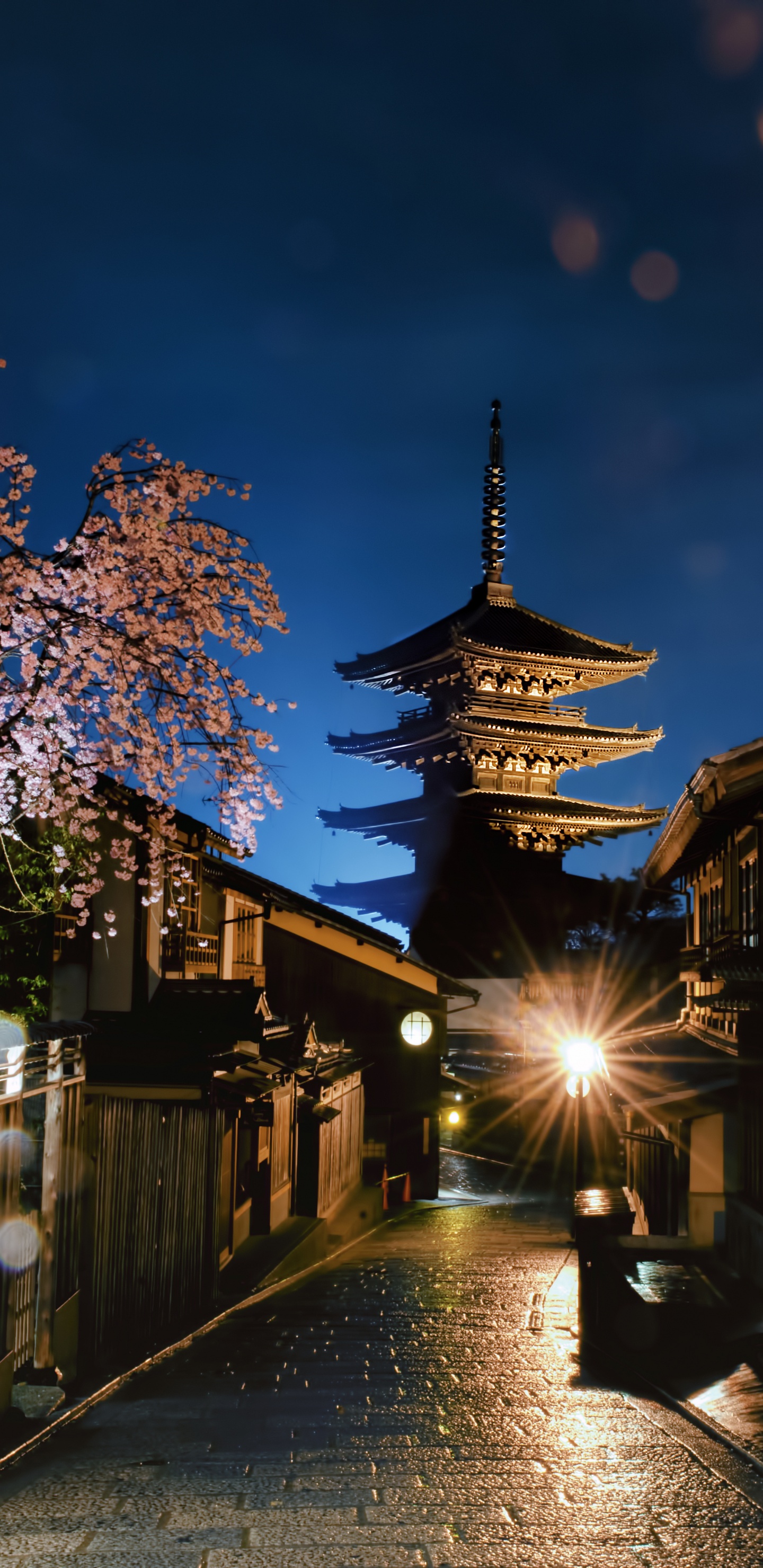 Japon, Éclairage, Surface de la Route, Quartier, Quartier Résidentiel. Wallpaper in 1440x2960 Resolution