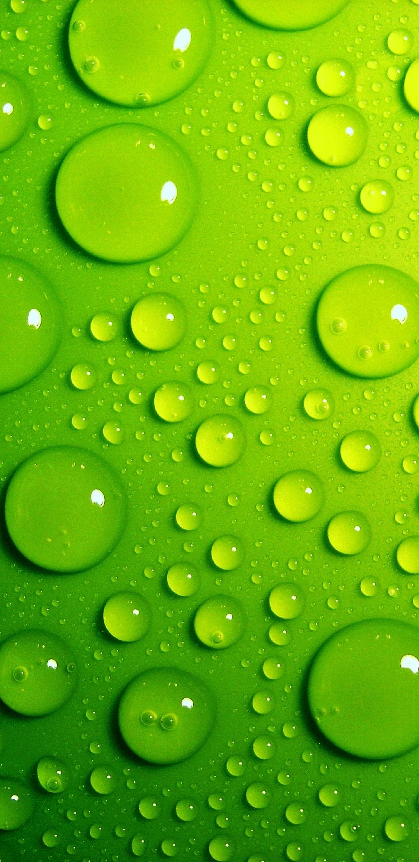 Water Droplets on Green Surface. Wallpaper in 1440x2960 Resolution