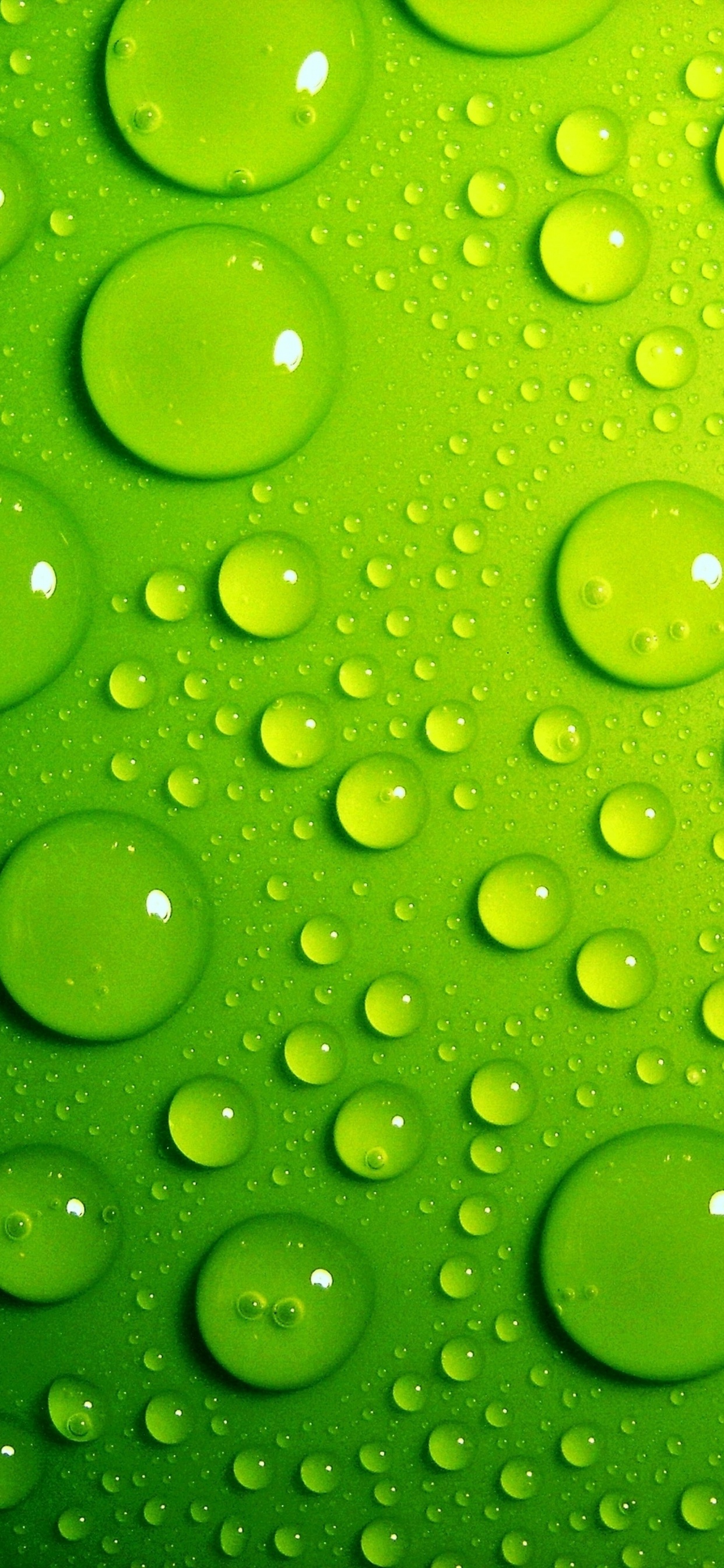 Gouttelettes D'eau Sur Une Surface Verte. Wallpaper in 1242x2688 Resolution