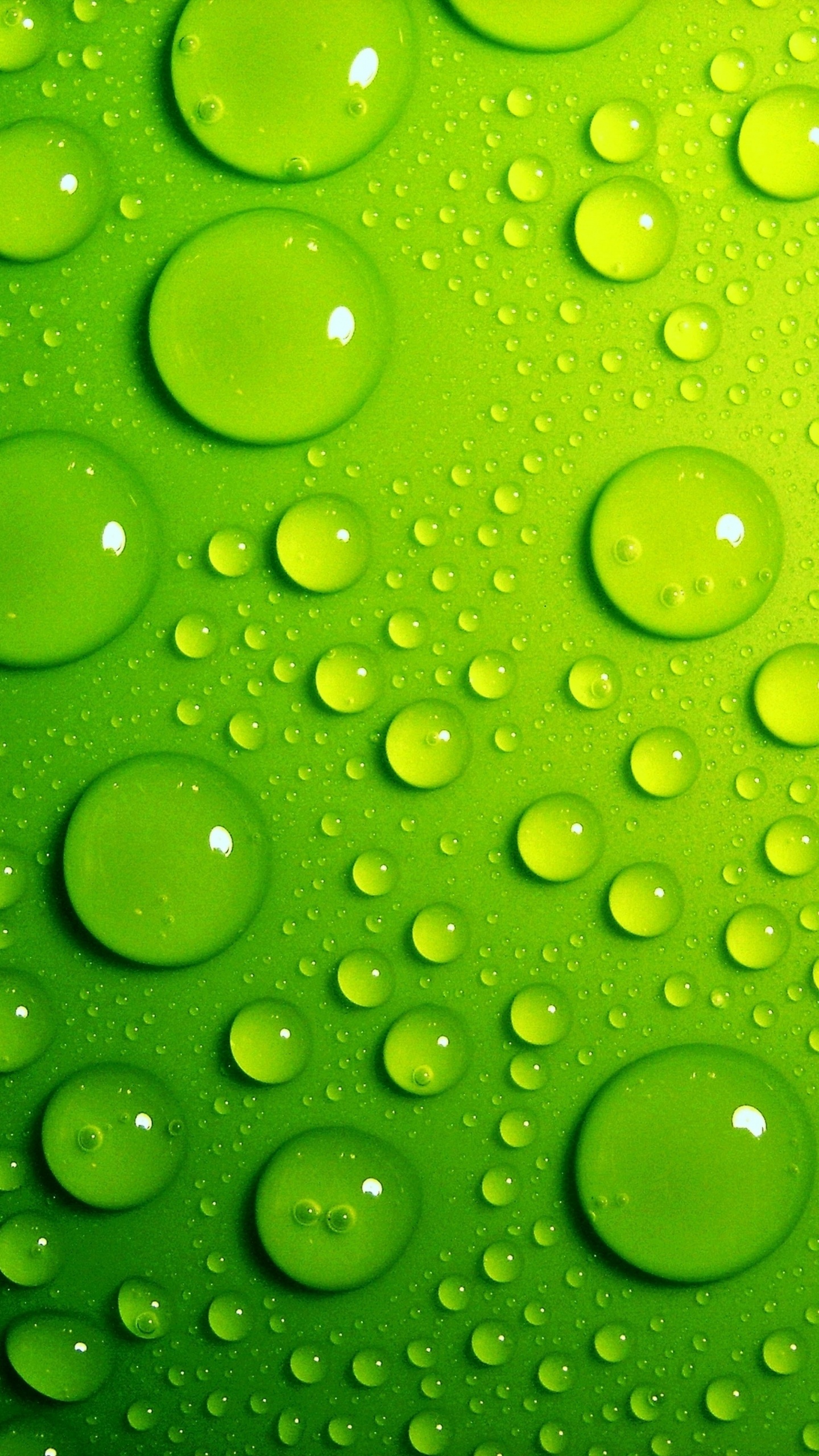 Gouttelettes D'eau Sur Une Surface Verte. Wallpaper in 1440x2560 Resolution