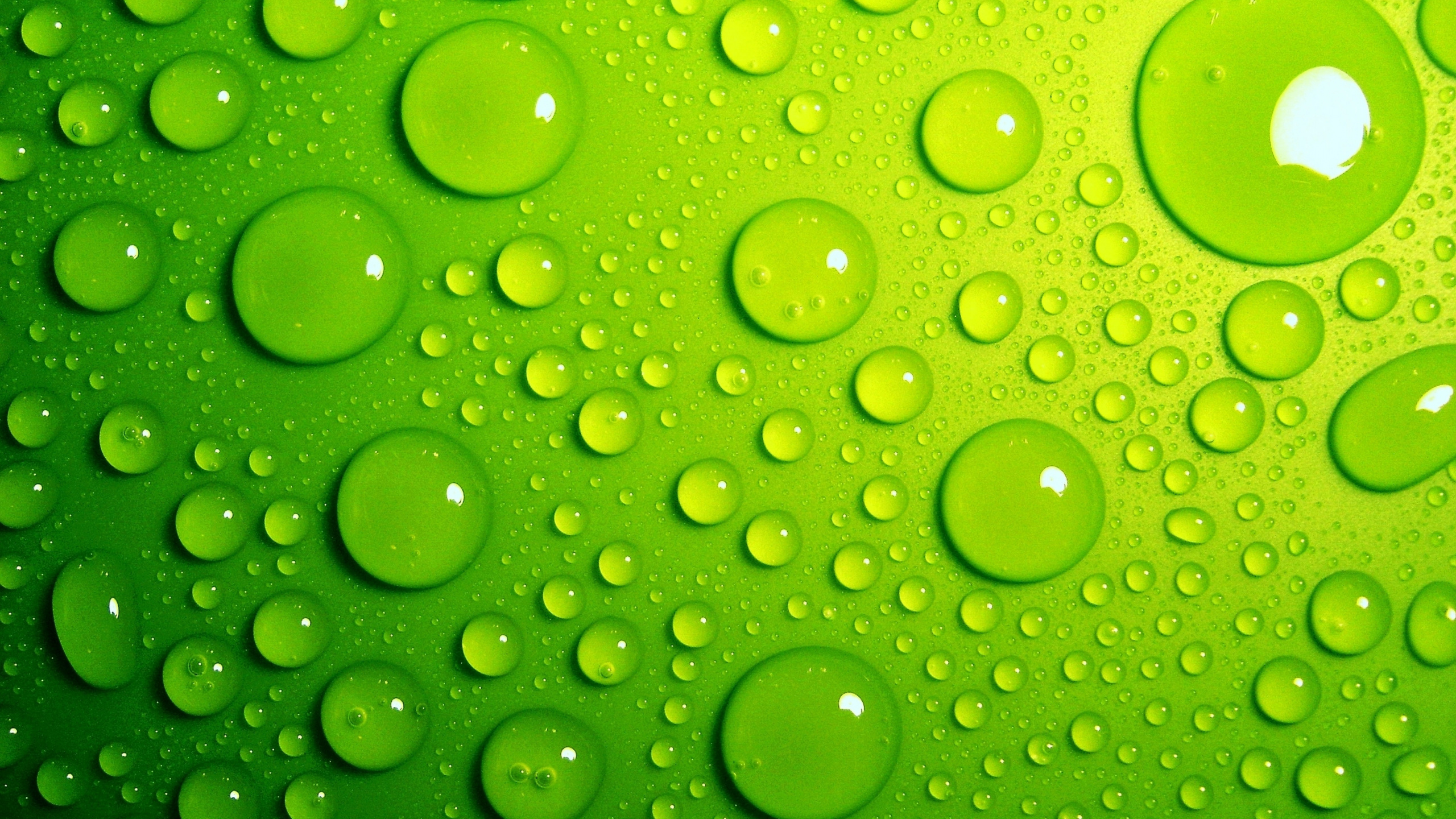 Gouttelettes D'eau Sur Une Surface Verte. Wallpaper in 2560x1440 Resolution