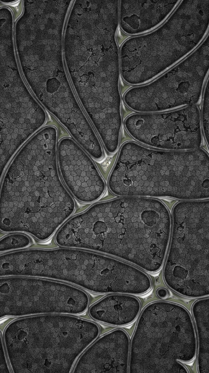 Green and Black Abstract Painting. Wallpaper in 720x1280 Resolution