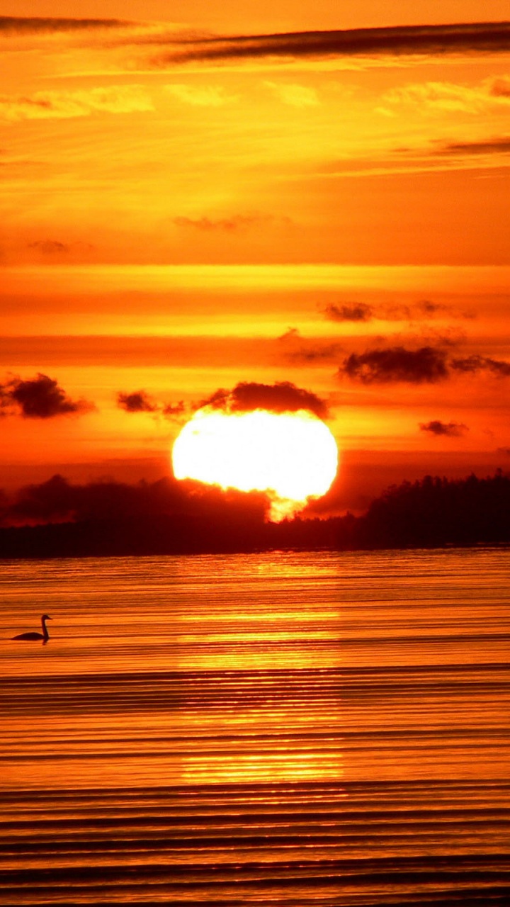 Plan D'eau au Coucher du Soleil. Wallpaper in 720x1280 Resolution