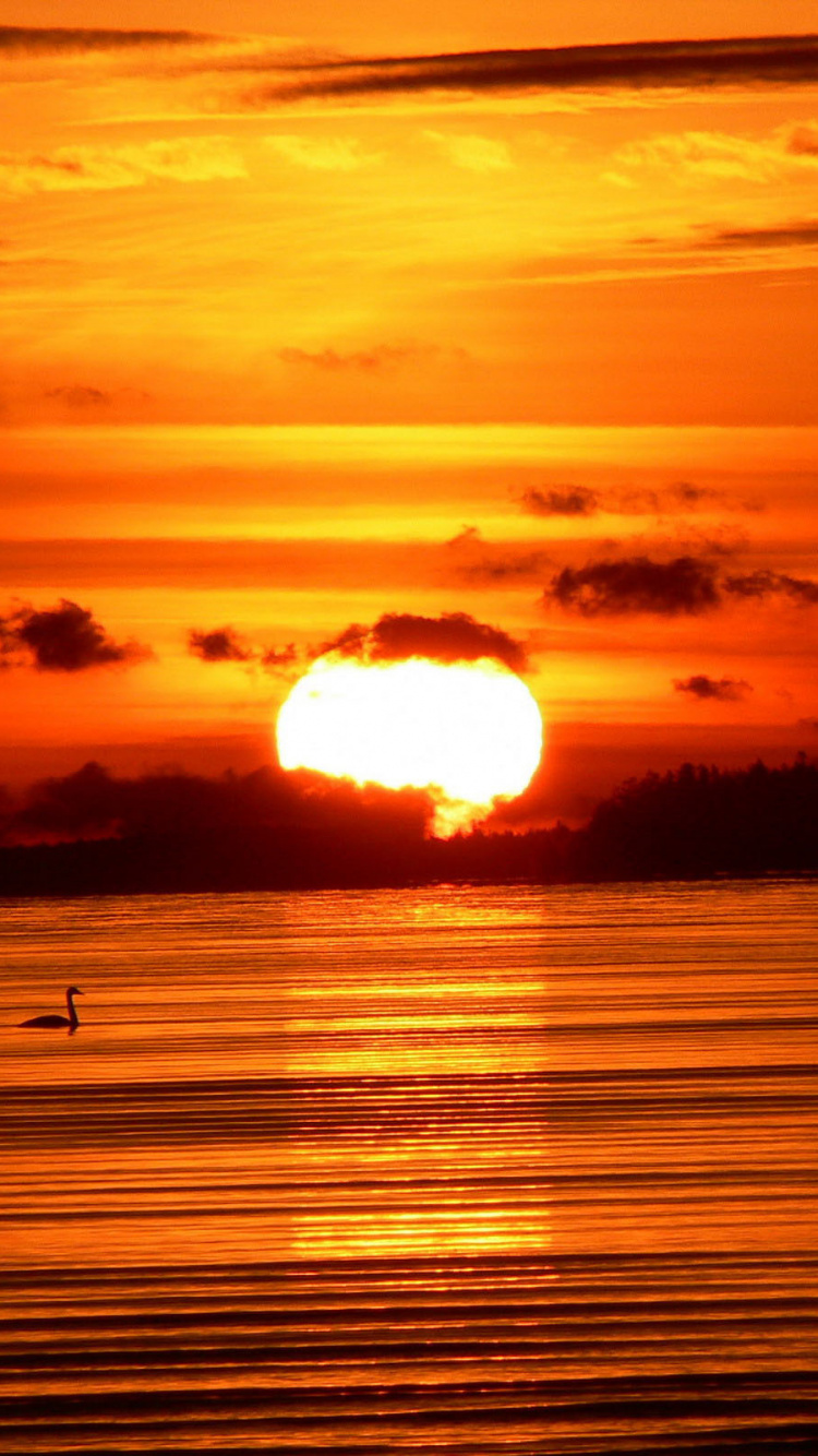 Gewässer Bei Sonnenuntergang. Wallpaper in 750x1334 Resolution