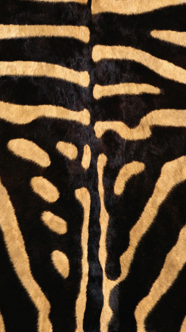 Black and White Zebra Textile. Wallpaper in 750x1334 Resolution