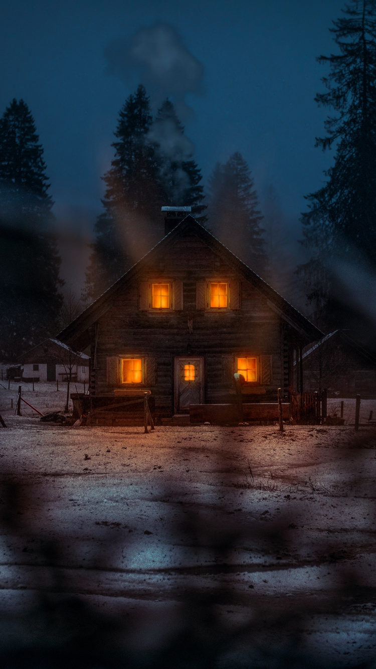 Ambiente, Nieve, Zona Rural, Ventana. Wallpaper in 750x1334 Resolution