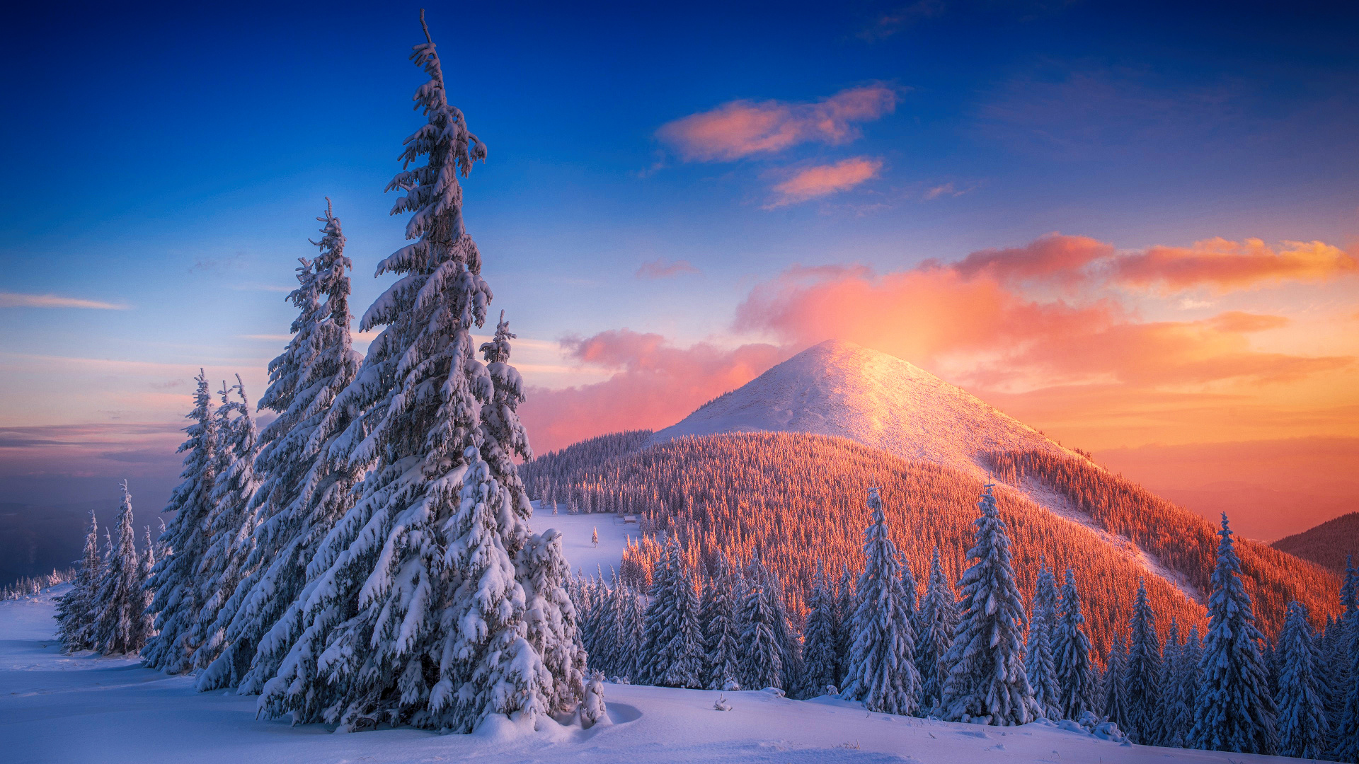 Mountain, Winter, Snow, Tree, Nature. Wallpaper in 1920x1080 Resolution