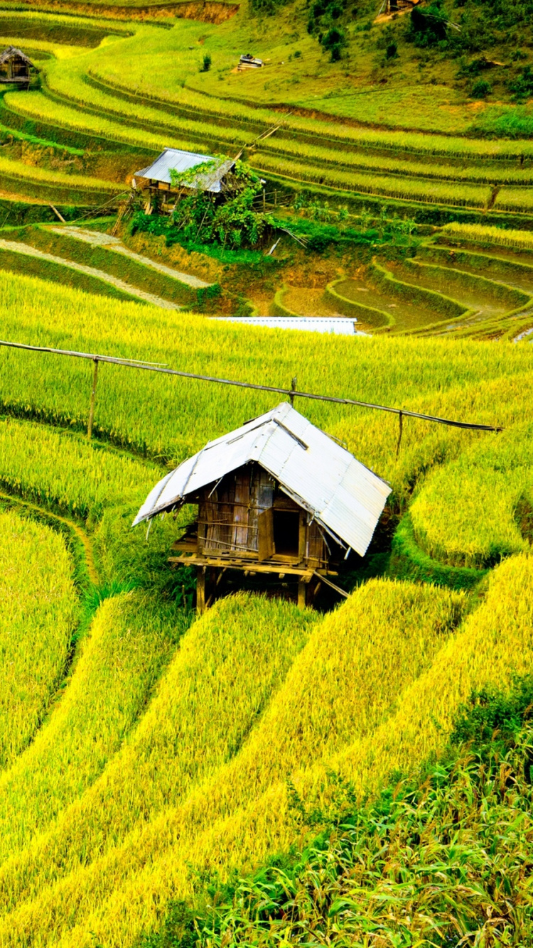 Brown Wooden House on Green Grass Field During Daytime. Wallpaper in 750x1334 Resolution