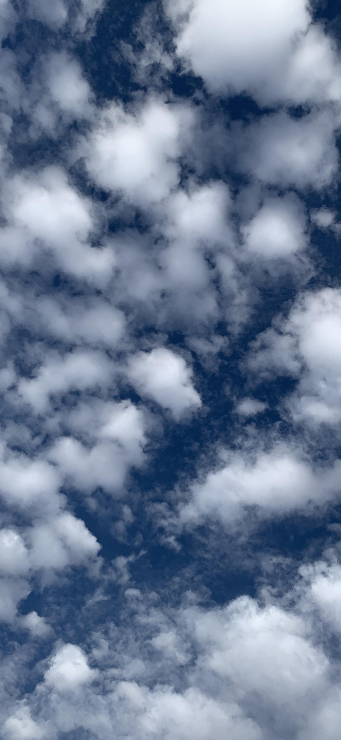 Cloud, Wasser, Blau, Cumulus, Farbtöne Und Schattierungen. Wallpaper in 1125x2436 Resolution