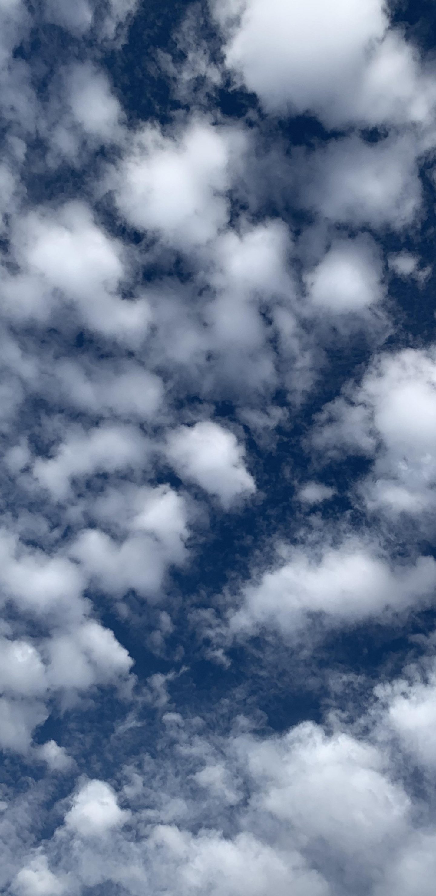 Cloud, Wasser, Blau, Cumulus, Farbtöne Und Schattierungen. Wallpaper in 1440x2960 Resolution