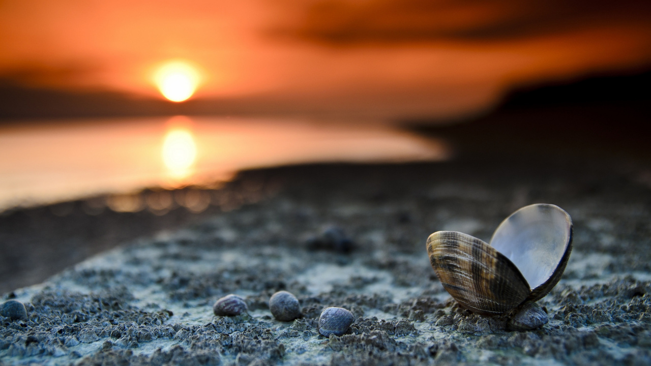 Pierres Grises et Noires Sur la Plage Pendant le Coucher du Soleil. Wallpaper in 1280x720 Resolution
