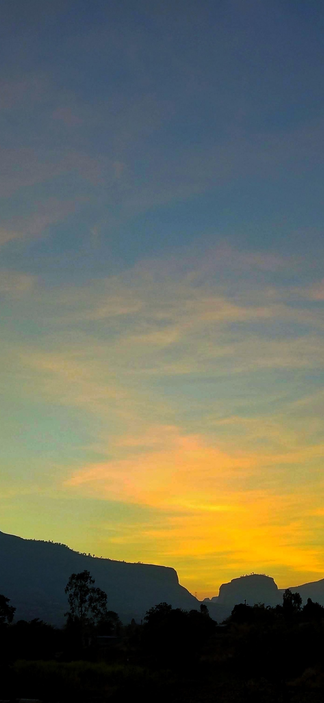 Cloud, Ecoregion, Afterglow, Plant, Natural Landscape. Wallpaper in 1125x2436 Resolution