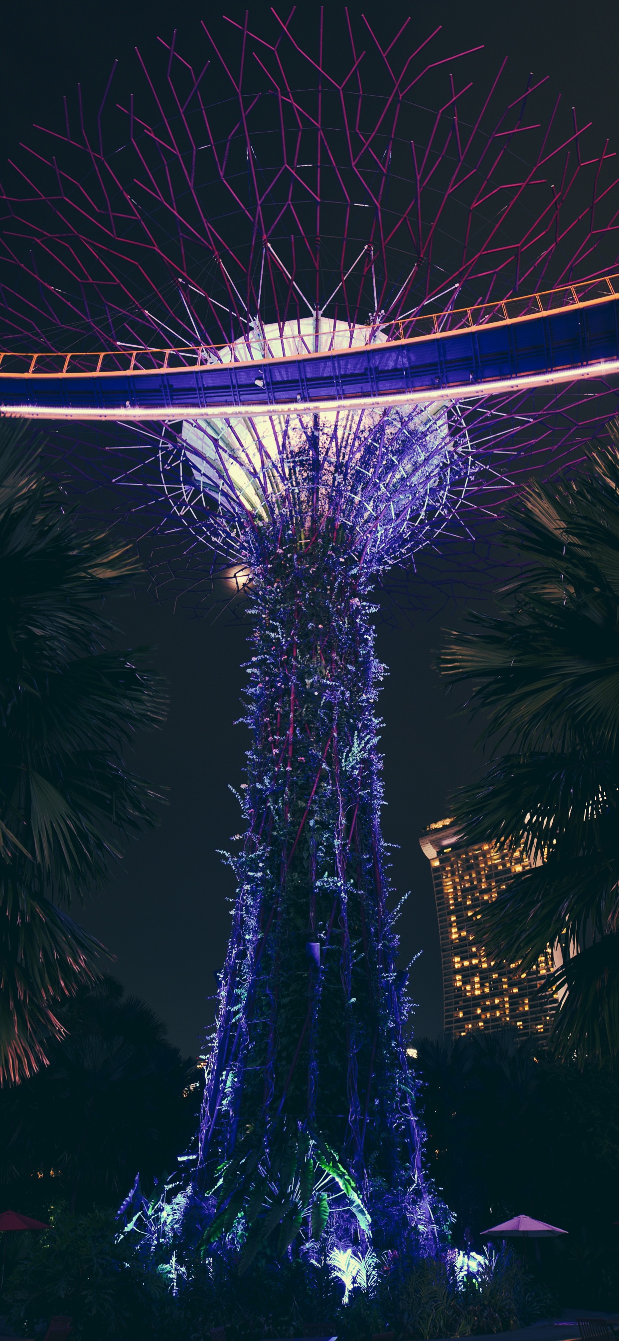 Grande Roue Éclairée en Blanc et Bleu Pendant la Nuit. Wallpaper in 1242x2688 Resolution