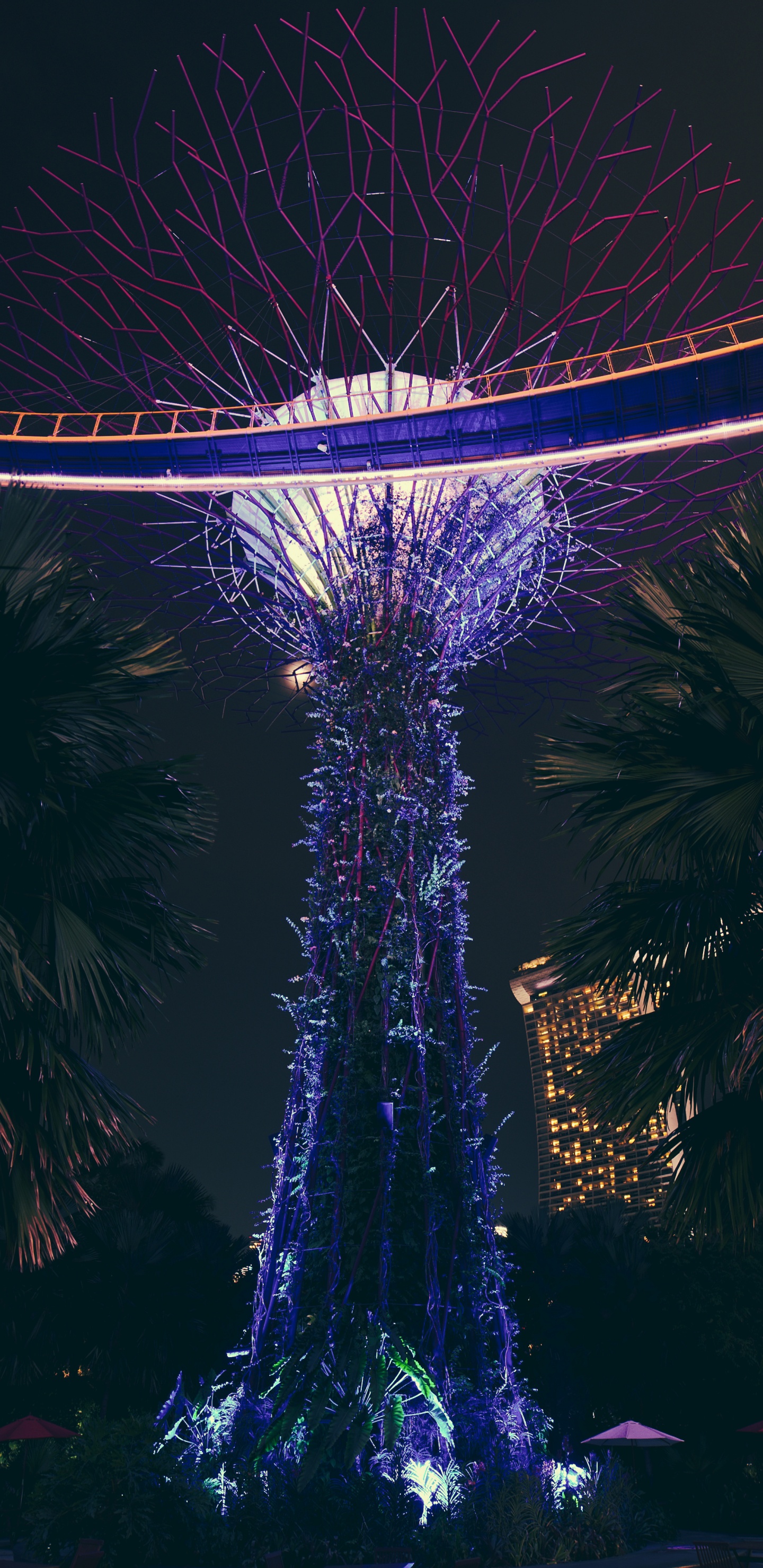 Weiß Und Blau Beleuchtetes Riesenrad Während Der Nacht. Wallpaper in 1440x2960 Resolution